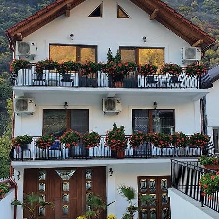 Appartamento Casa Mimi Băile Herculane Esterno foto