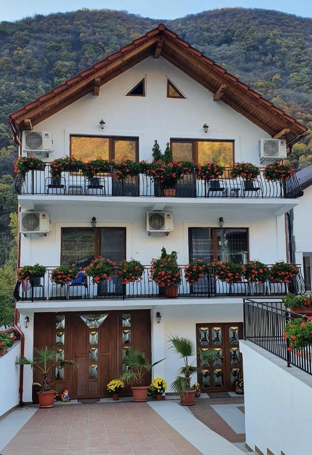 Appartamento Casa Mimi Băile Herculane Esterno foto